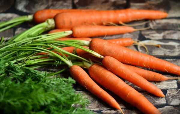 articolo sulle proprieta nutritive della carota