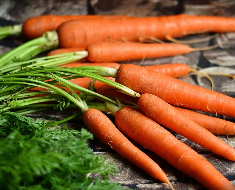 articolo sulle proprieta nutritive della carota