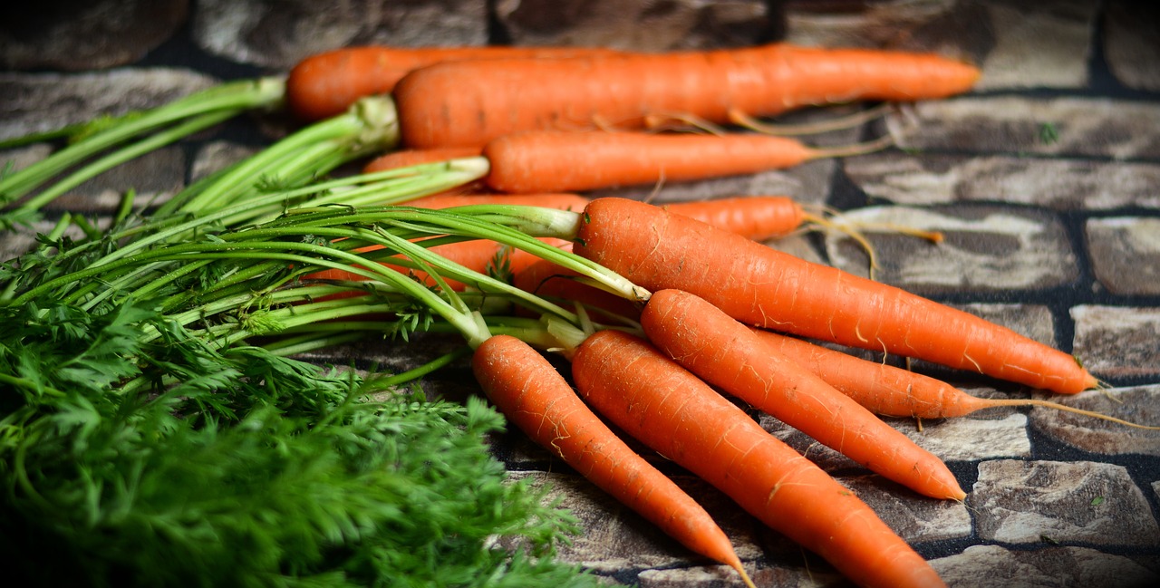 articolo sulle proprieta nutritive della carota