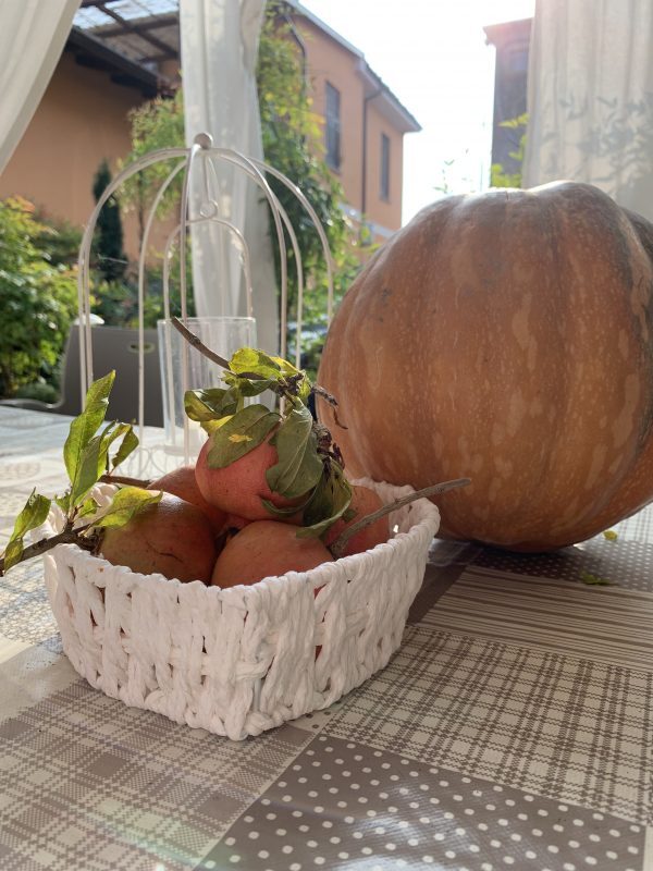 pappa zucca
