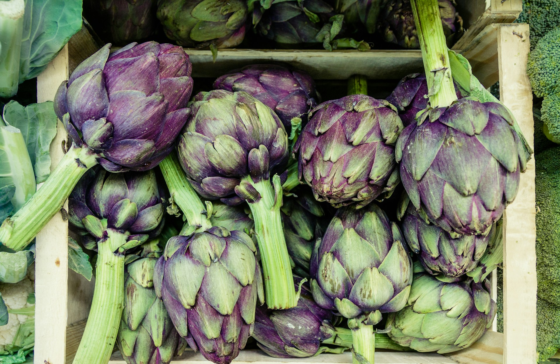 Carciofi